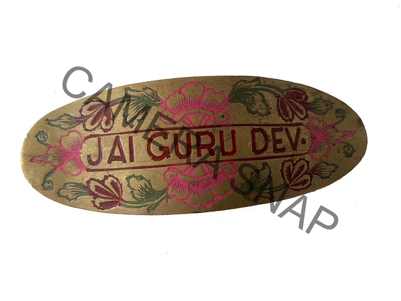 JAI GURU DEV HAIR CLIP